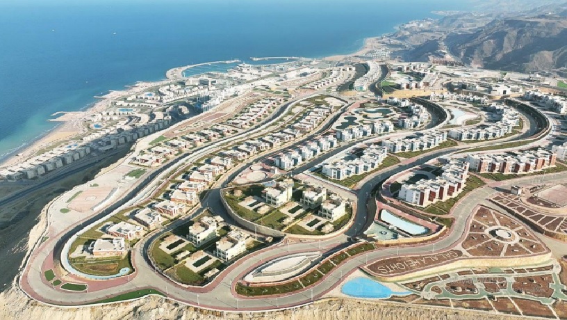 فرص واعدة 